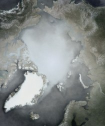 Chalie-Loyd-Artic
